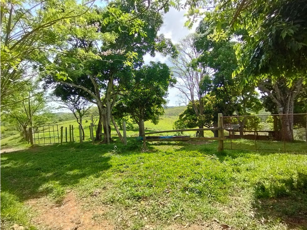 Se Vende Finca de 35 HAS en las Lajitas-Chorrera (DR) - 6