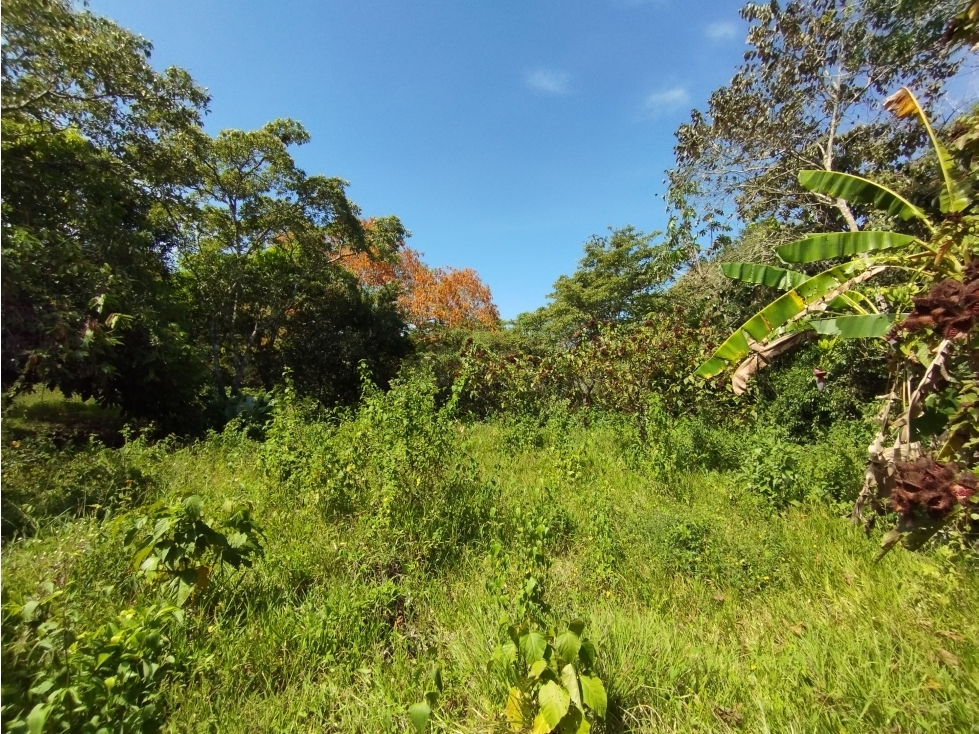 Se Vende Finca Comercial de 1.1 HAS-Chorrera (DR) - 3