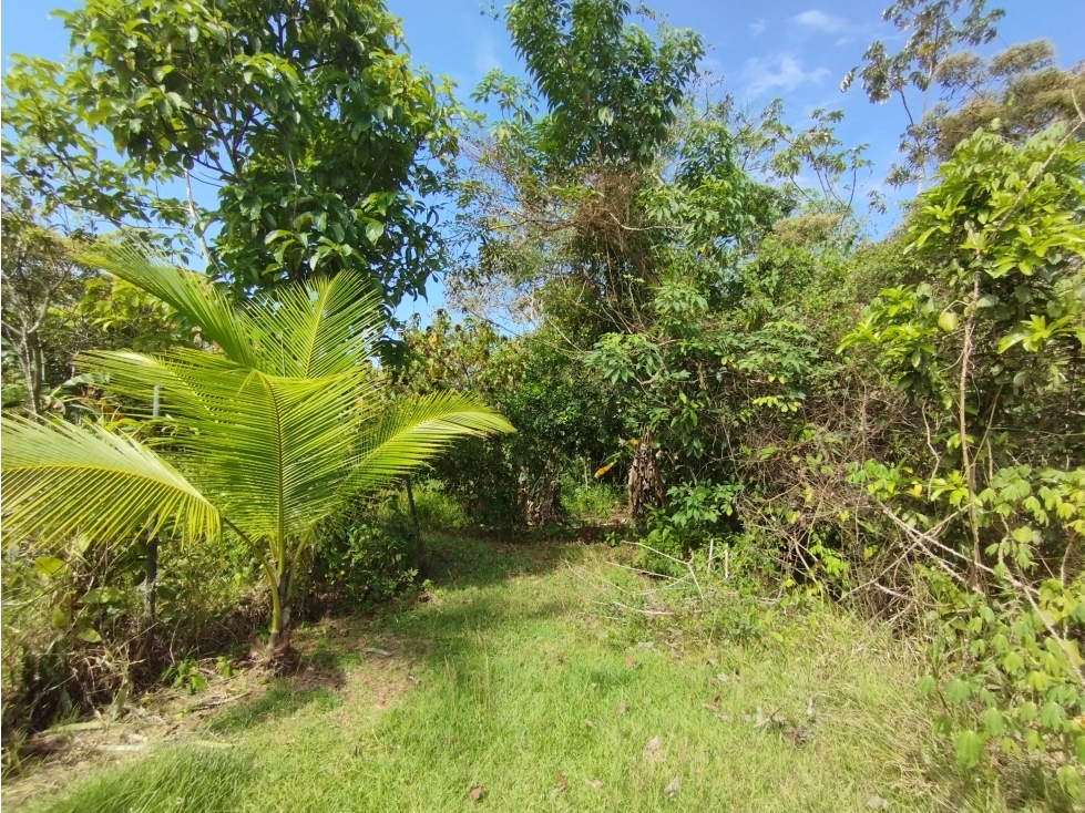 Se Vende Terreno de 4.700m2 en Potrero Grande-La Chorrera (DR) - 4