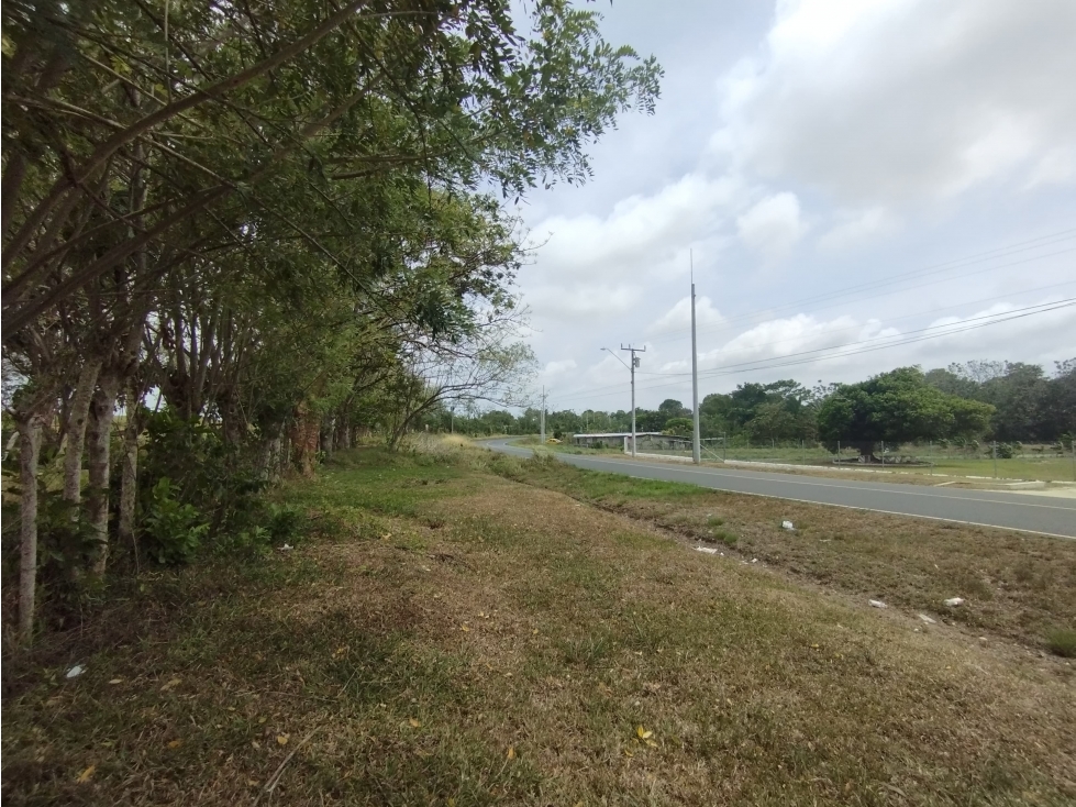 Se Vende Finca de 16 Has en Llanito Verde La Chorrera (DR) - 5