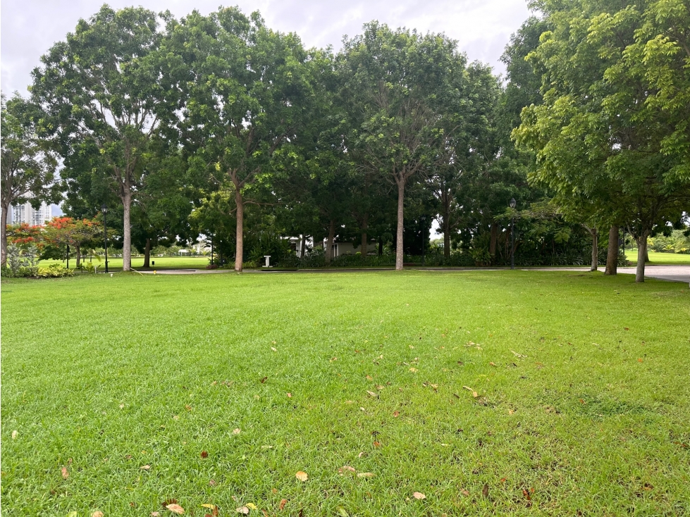 Lote en venta frente al lago -Island Estate Santa María (BORA) — foto 2