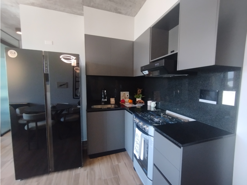 Proyecto-CENTRIQO-Panamá Pacífico — foto 3