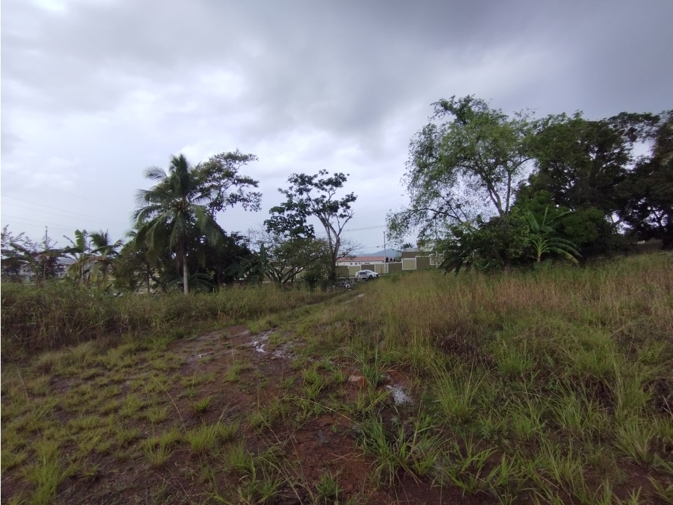 Se Vende finca de 1.2 has en Arraiján-Panamá Oeste (DR) — foto 4