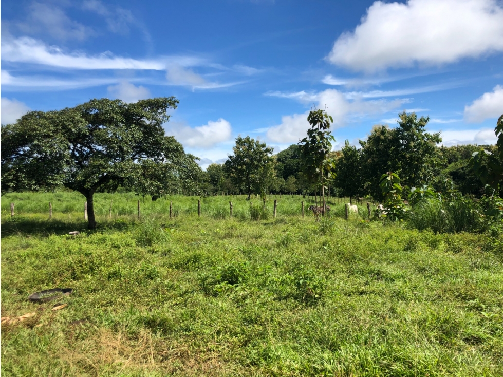 Terreno en venta de 12,907m2 en Montijo-Veraguas (DR) - 1