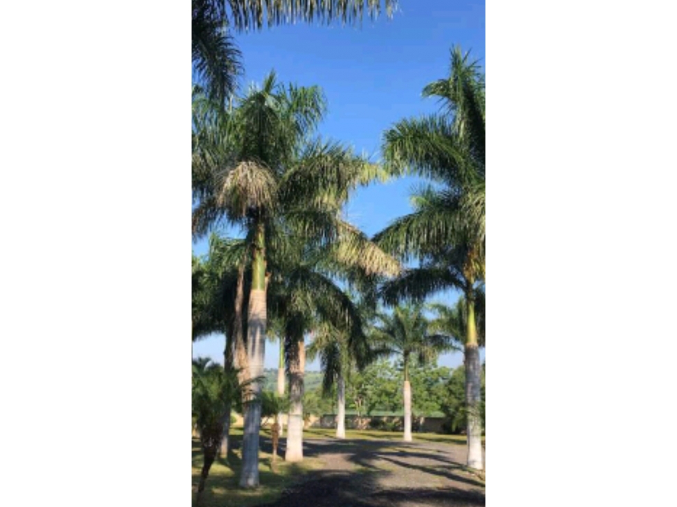 EN VENTA TERRENO EN PUENTE DE IXTLA - 2