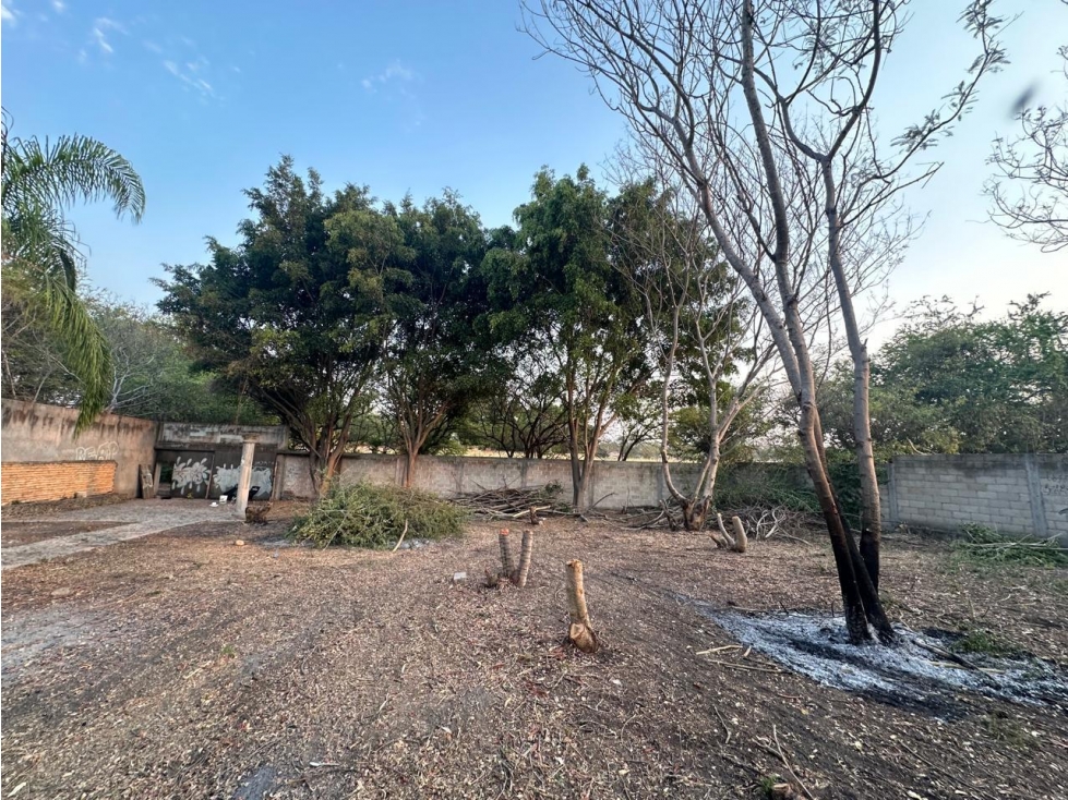 TERRENO EJIDAL EN VENTA EN ALPUYECA - 2