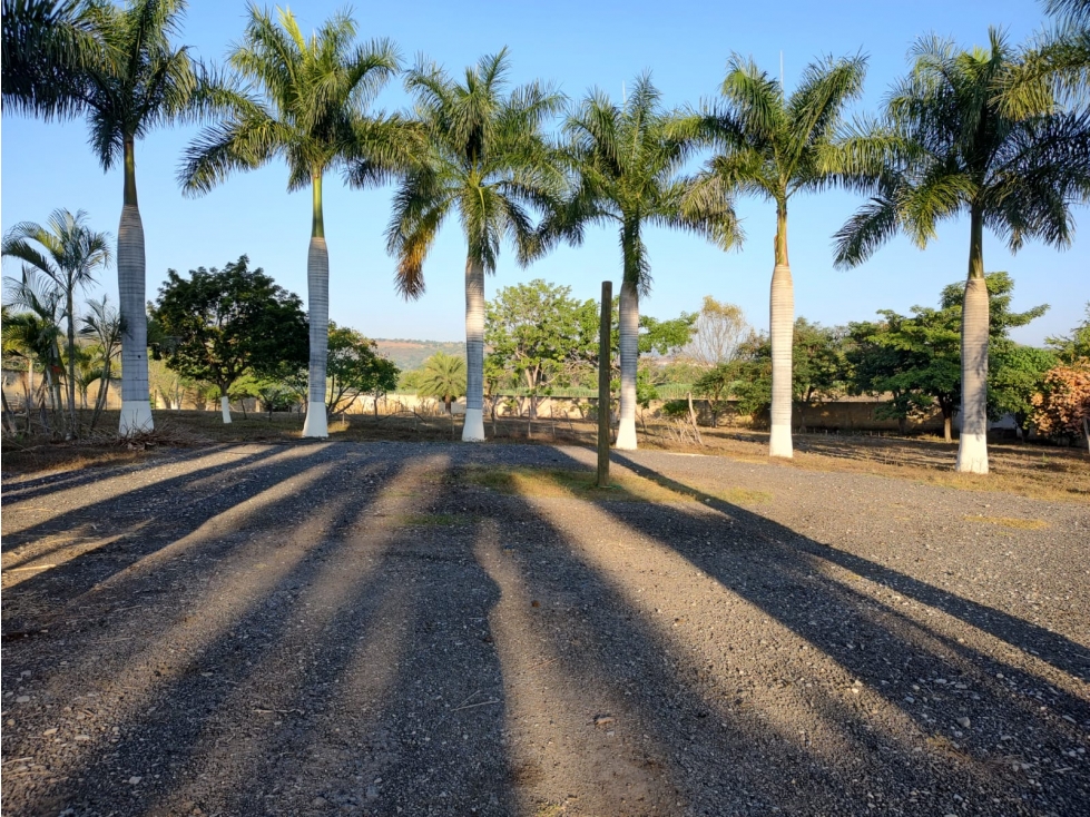 EN VENTA TERRENO EN PUENTE DE IXTLA - 3
