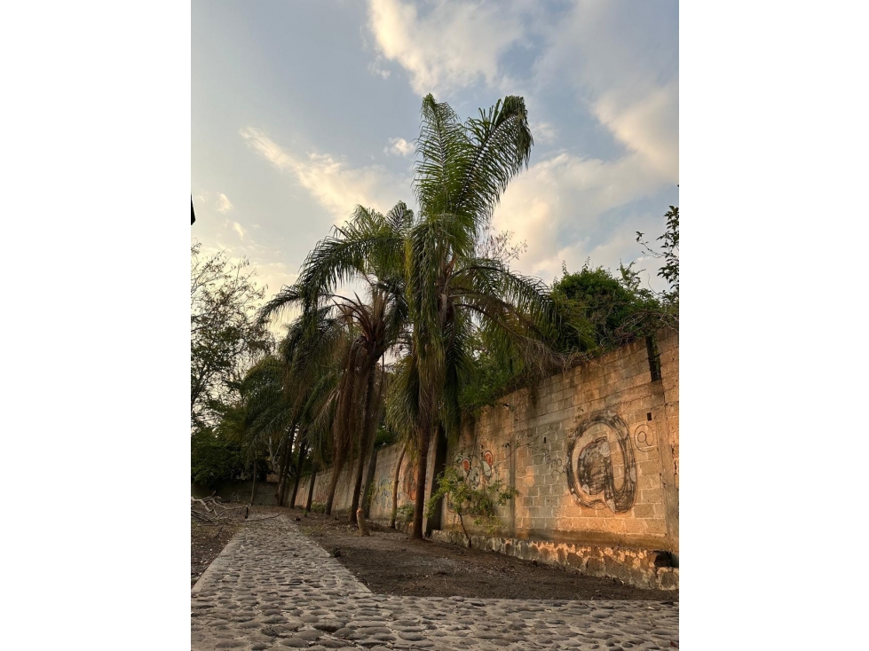 TERRENO EJIDAL EN VENTA EN ALPUYECA - 5