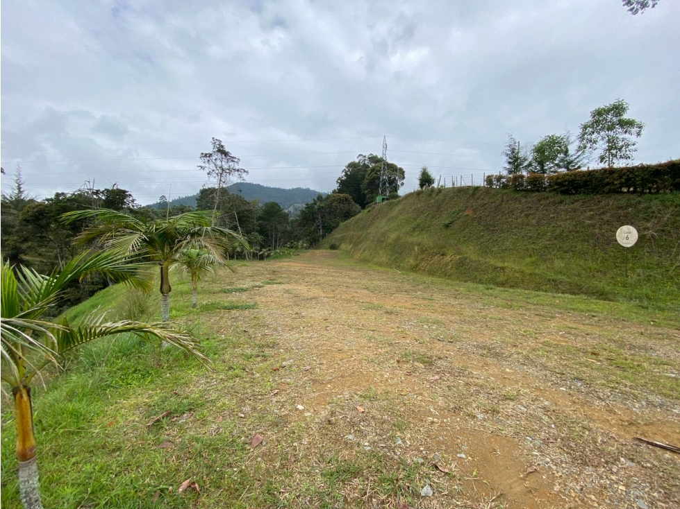 LOTE EN VENTA ABOREO CAMPESTRE VÍA SAN ANTONIO, LA CEJA — foto 3