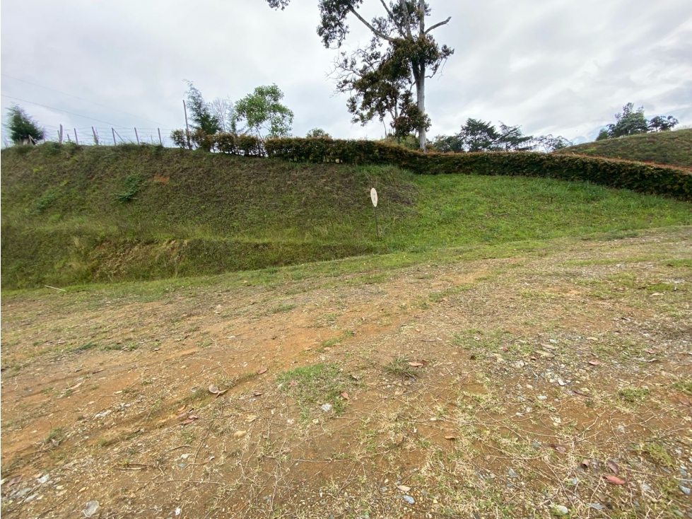 LOTE EN VENTA ABOREO CAMPESTRE VÍA SAN ANTONIO, LA CEJA — foto 5