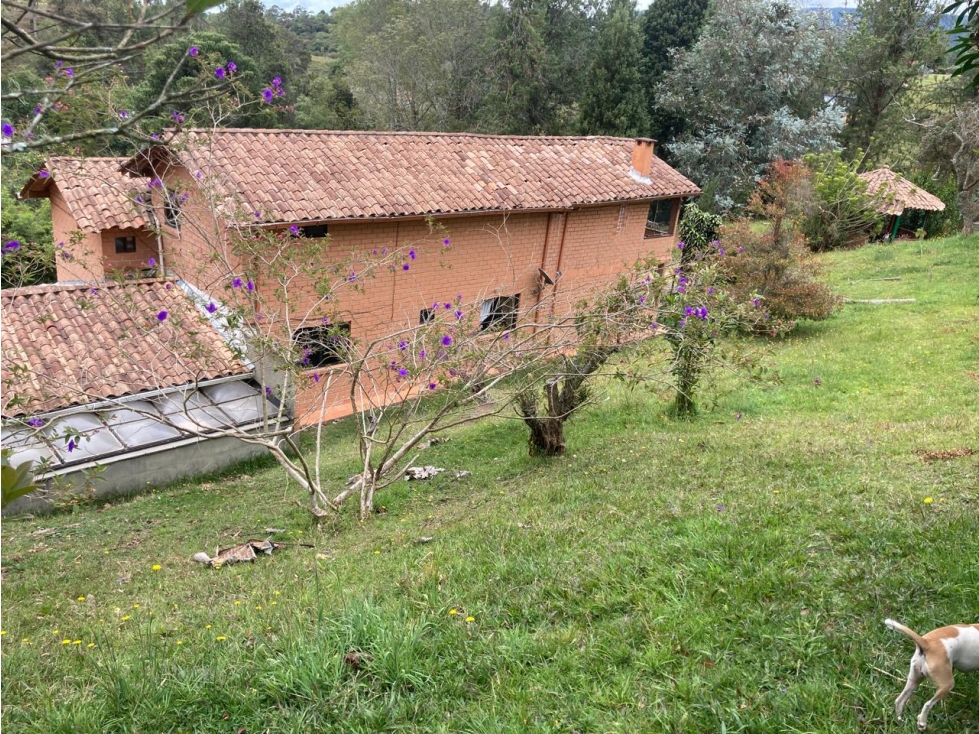 LOTE INDEPENDIENTE CON CASA EN VENTA SECTOR LAS PALMAS — foto 4