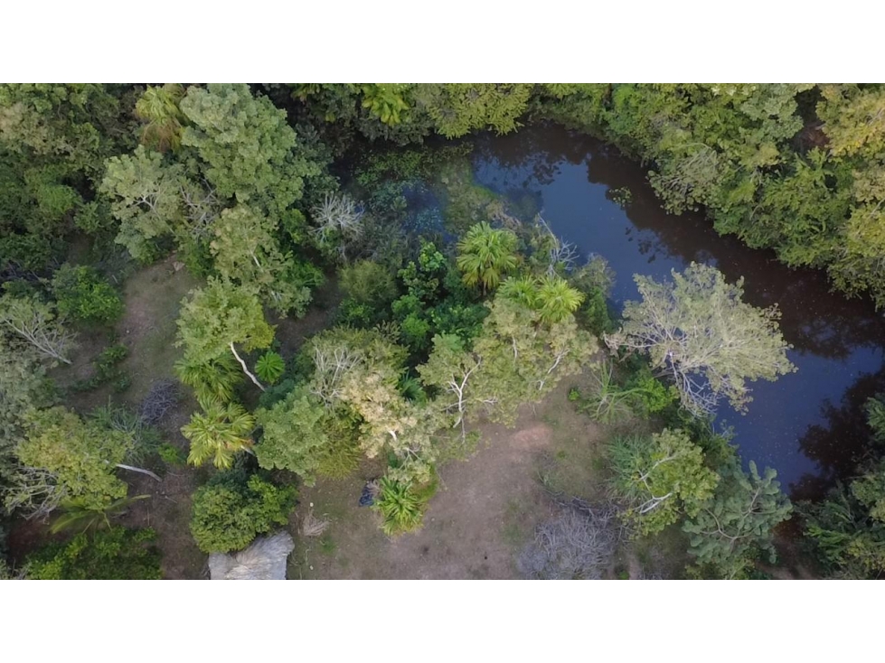 OPORTUNIDAD DE INVERSION FINCA PRODUCTIVA EN CIENAGA DE ORO 12Ha - 2