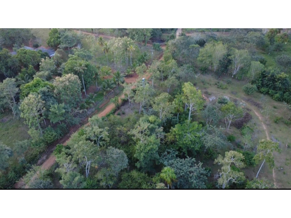 OPORTUNIDAD DE INVERSION FINCA PRODUCTIVA EN CIENAGA DE ORO 12Ha - 6