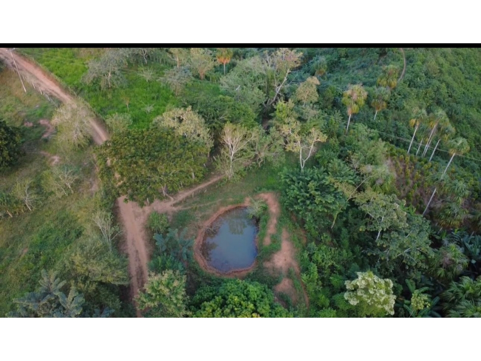 OPORTUNIDAD DE INVERSION FINCA PRODUCTIVA EN CIENAGA DE ORO 12Ha - 1