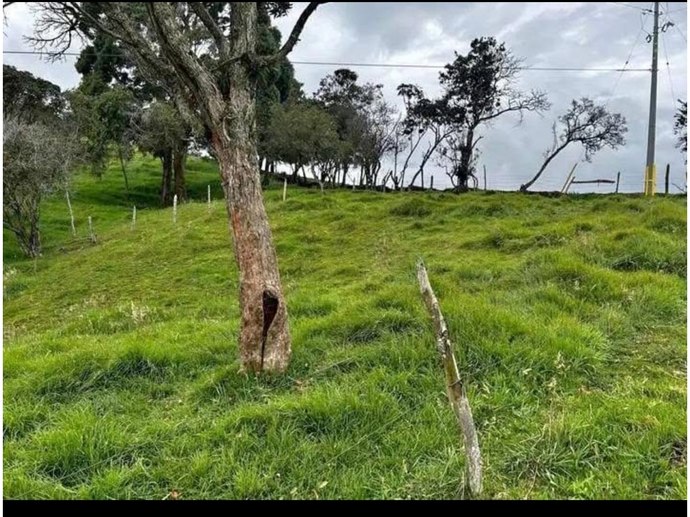 VENDO HERMOSA FINCA EN SAN PEDRO DE LOS MILAGROS — foto 2