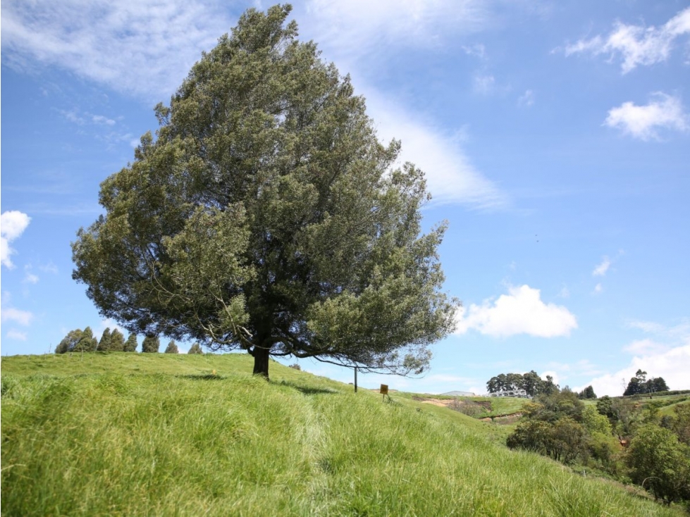 VENDO LOTE EN LA PARCELACION SIXTINA UNICO CON LAGO — foto 5
