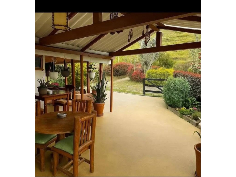 VENDO HERMOSA FINCA EN SAN PEDRO DE LOS MILAGROS — foto 3