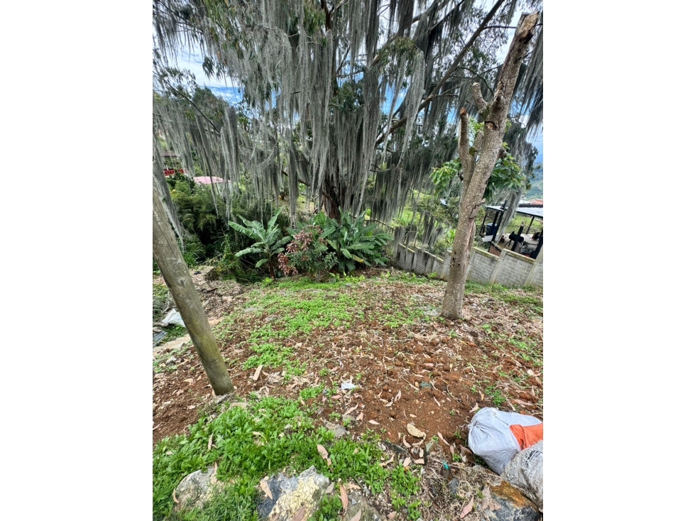 EN VENTA LOTE EN SAN CRISTOBAL A POCOS MINUTOS DEL PARQUE — foto 4