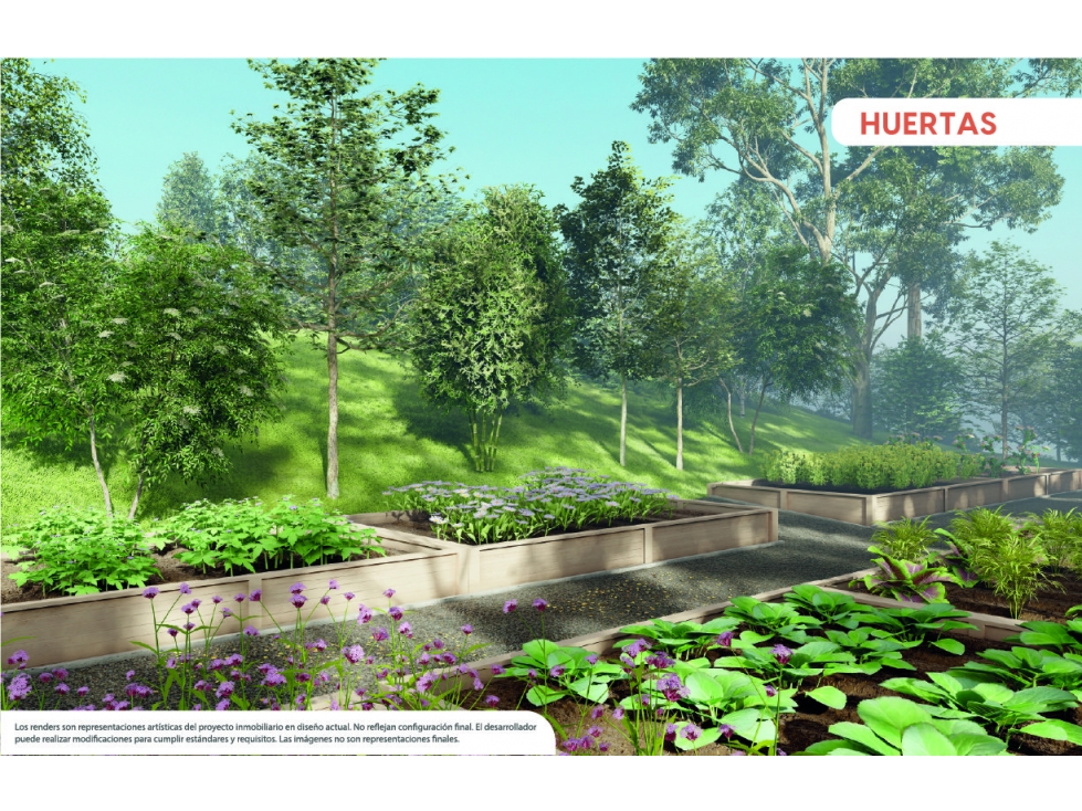 LOTES EN VENTA EN EL CARMEN DE VIBORAL PROYECTO FAMILY — foto 3