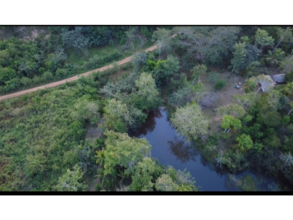 OPORTUNIDAD DE INVERSION FINCA PRODUCTIVA EN CIENAGA DE ORO 12Ha - 4