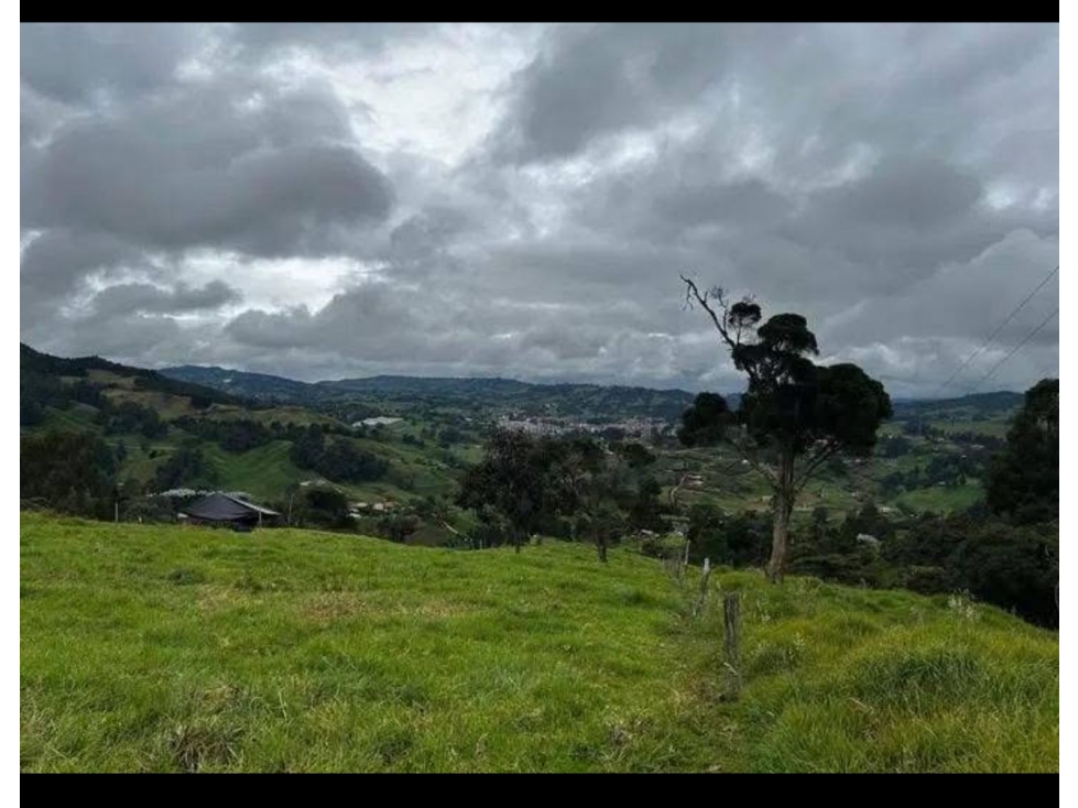VENDO HERMOSA FINCA EN SAN PEDRO DE LOS MILAGROS — foto 6