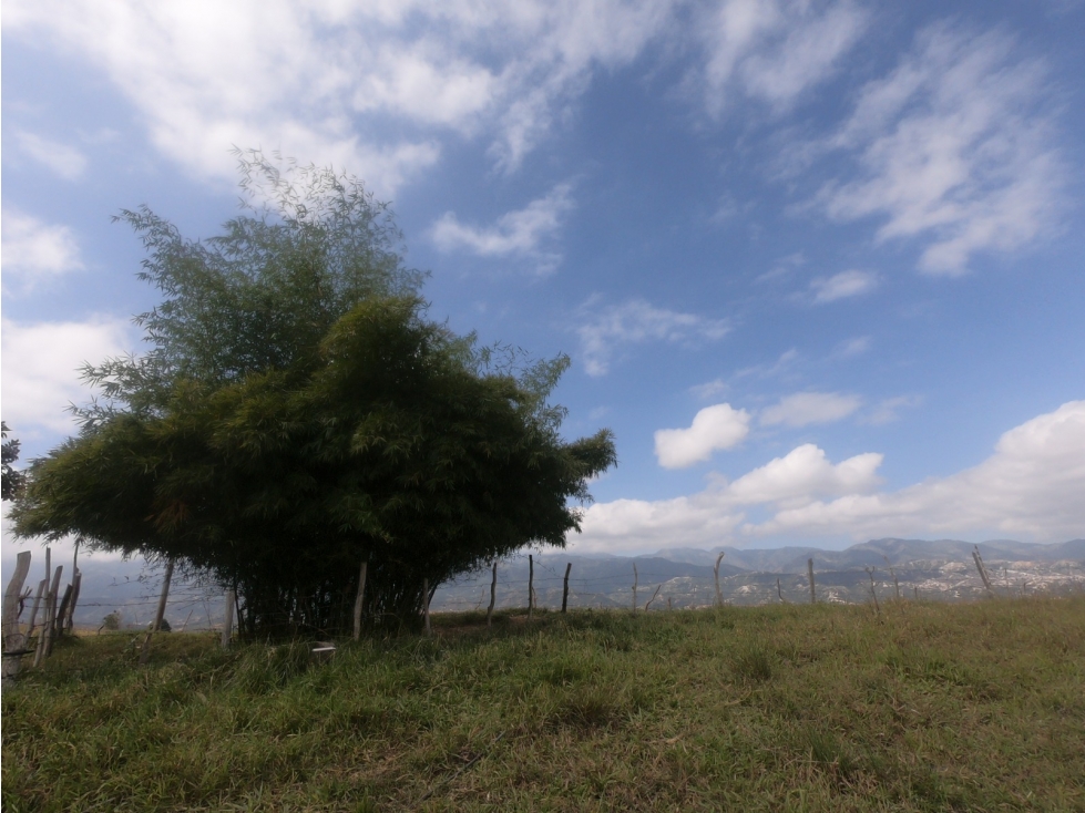 FINCA EN VENTA MUNICIPIO DE ABREGO - 3