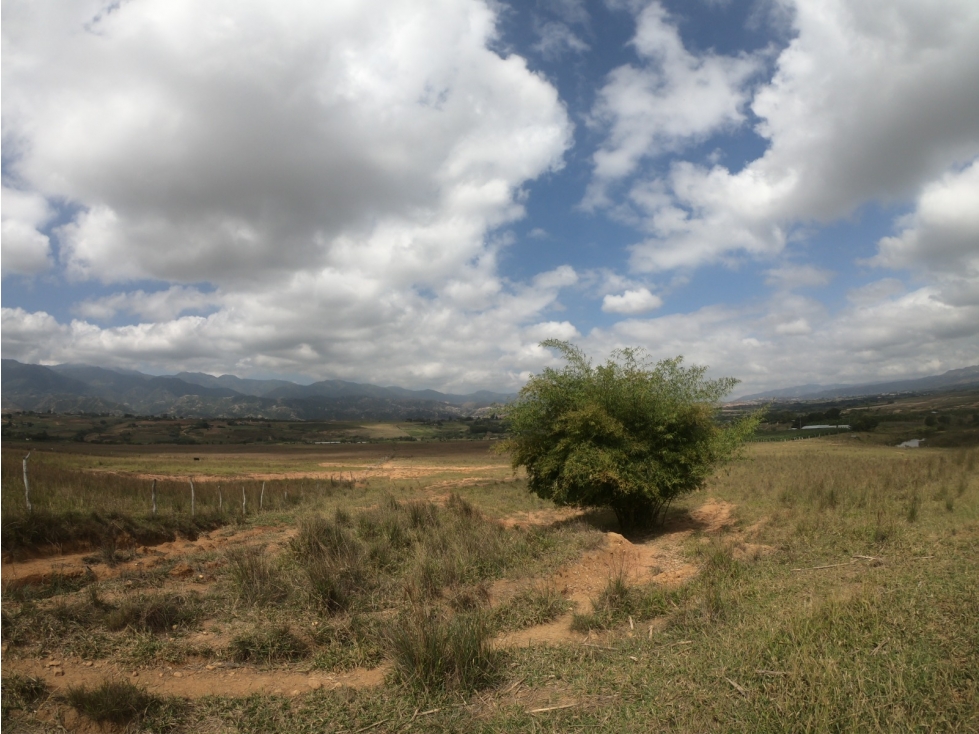 FINCA EN VENTA MUNICIPIO DE ABREGO - 4