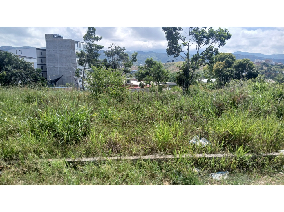 LOTE EN VENTA SECTOR MIRADORES DEL LAGO - 4