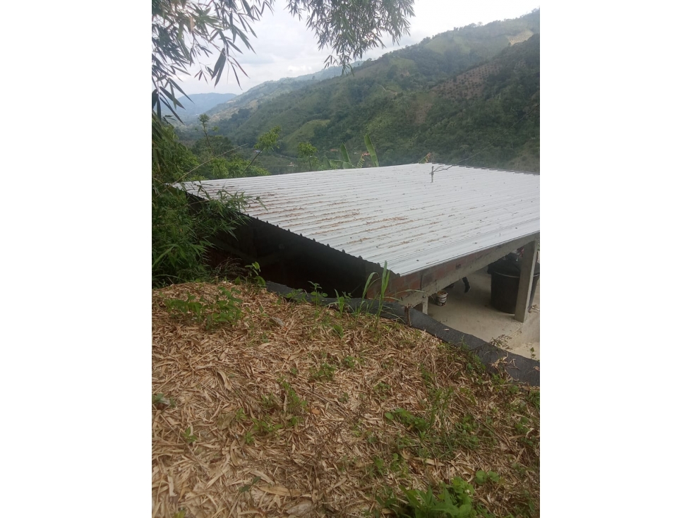 FINCA EN VENTA EN RIO NEGRO SANTANDER - 4