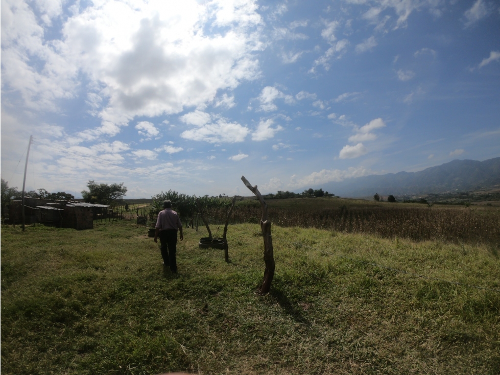 FINCA EN VENTA MUNICIPIO DE ABREGO - 5