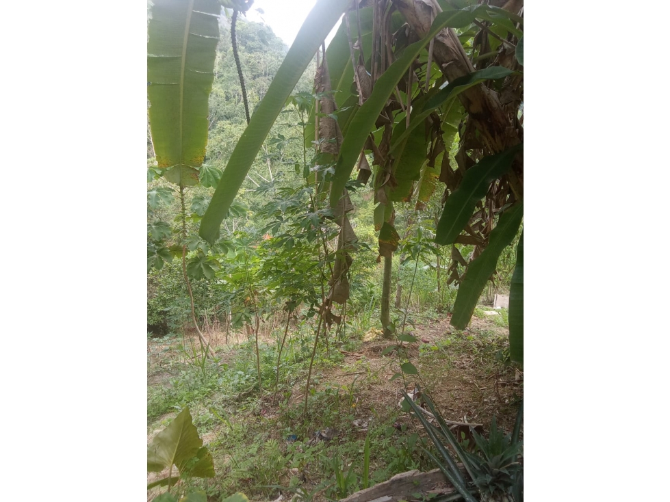 FINCA EN VENTA EN RIO NEGRO SANTANDER - 5
