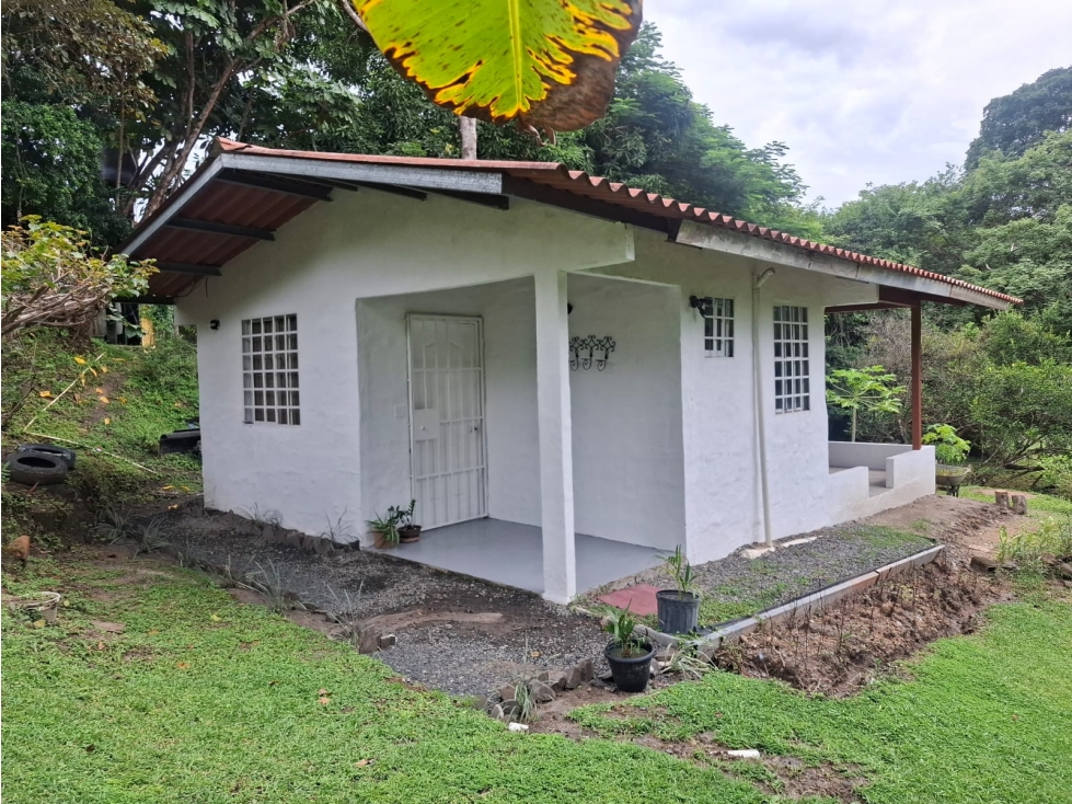 SE VENDEN CABAÑAS AMUEBLADAS - AMPLIO TERRENO - LAS UVAS, SAN CARLOS - 5