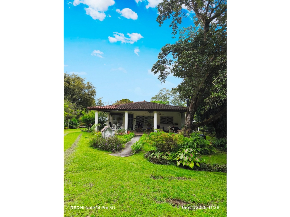 SE VENDEN CABAÑAS AMUEBLADAS - AMPLIO TERRENO - LAS UVAS, SAN CARLOS - 2