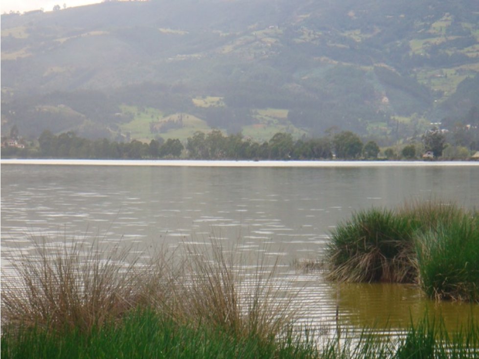 Vendo Lote en Paipa Boyaca - 2