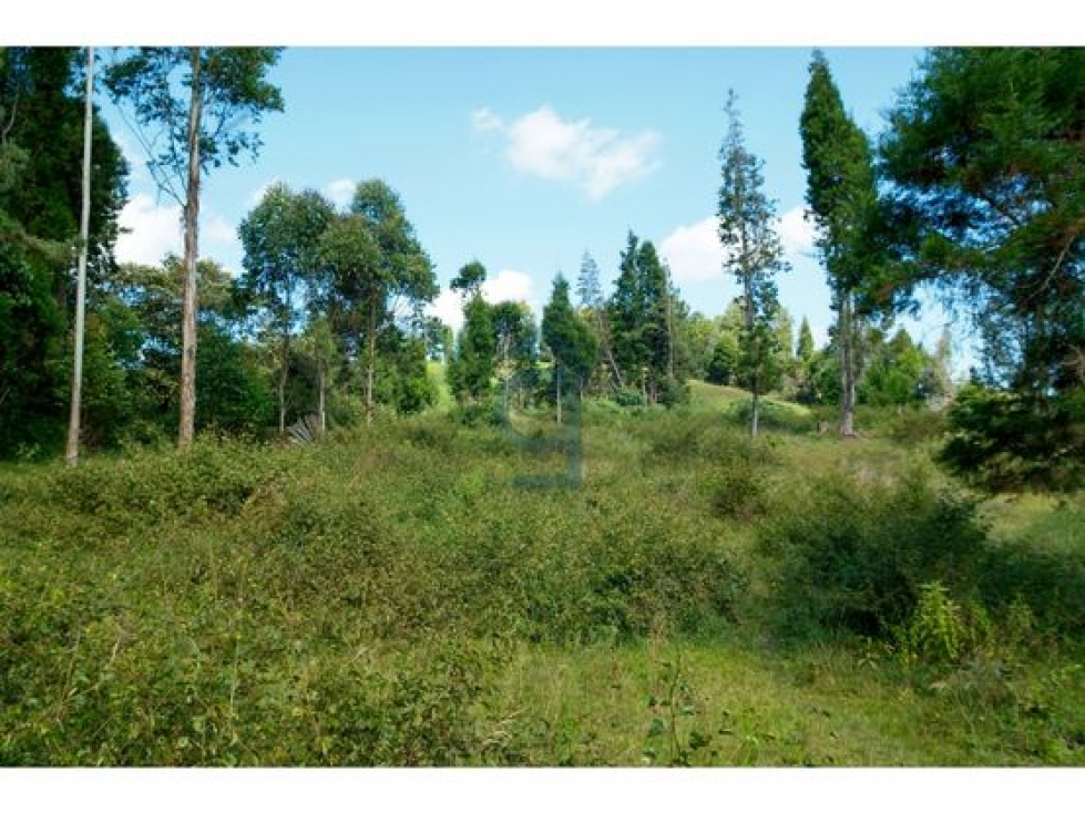VENTA DE LOTE DE ALTA MIXTURA PARA CONSTRUCTORES EN GUARNE — foto 2