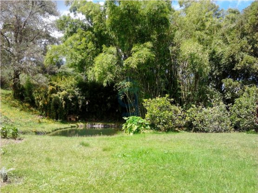 VENTA DE LOTE DE ALTA MIXTURA PARA CONSTRUCTORES EN GUARNE — foto 4