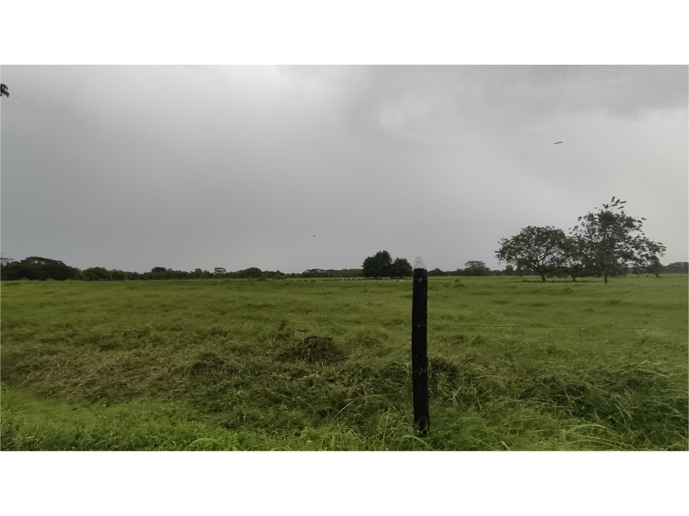 Vendo Finca para ganadería con excelentes pastos - cerca a Monteria