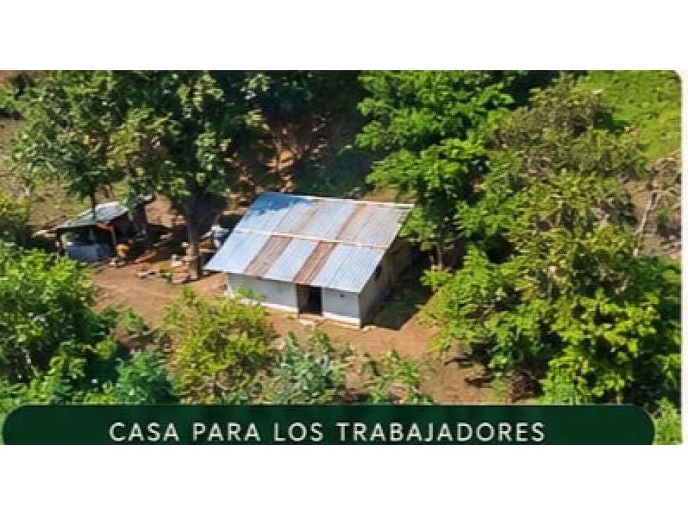 Finca en Venta.. San Jacinto Bolivar... Inversión y productividad - 5