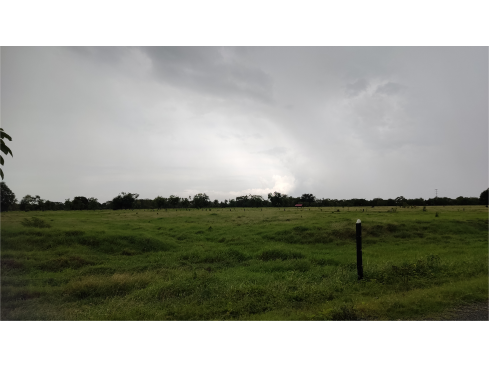 Vendo Finca para ganadería con excelentes pastos - cerca a Monteria — foto 3