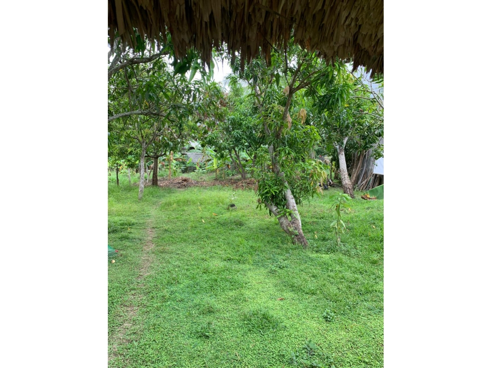 Vendo Casa Campestre cerca a la ciudad de Monteria - 5