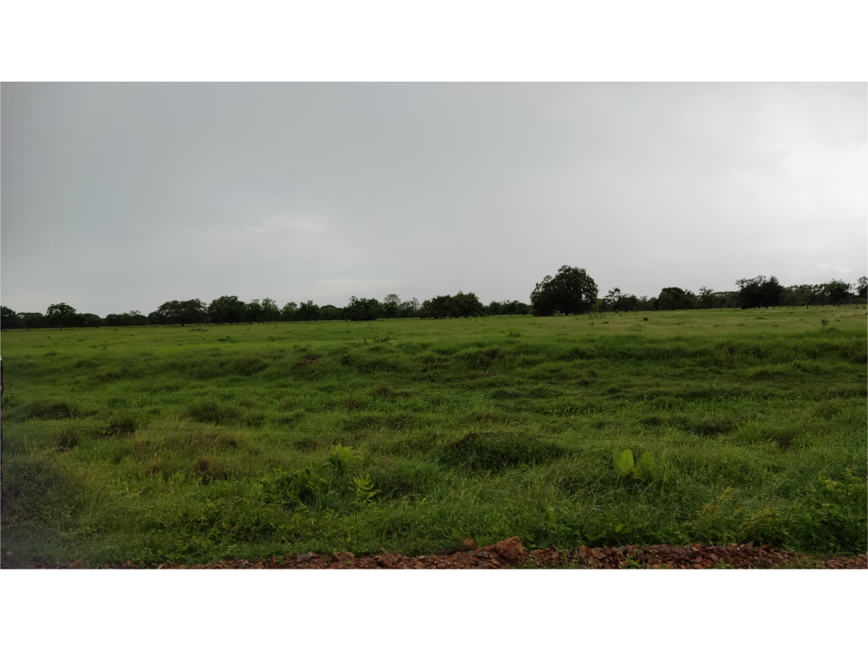 Vendo Finca para ganadería con excelentes pastos - cerca a Monteria — foto 4