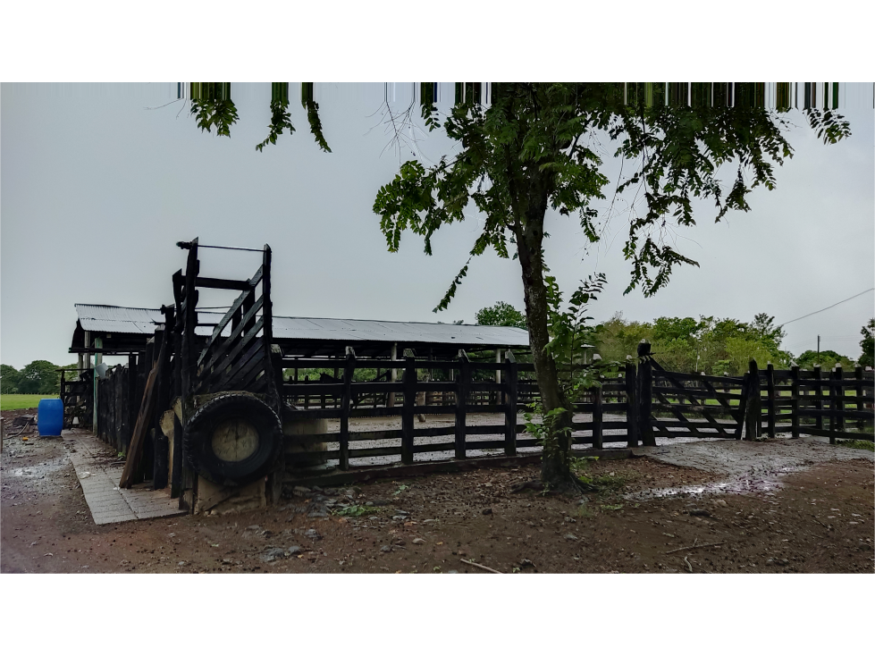 Vendo Finca para ganadería con excelentes pastos - cerca a Monteria — foto 6