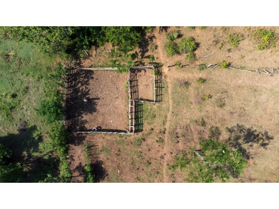 Finca en Venta.. San Jacinto Bolivar... Inversión y productividad - 4