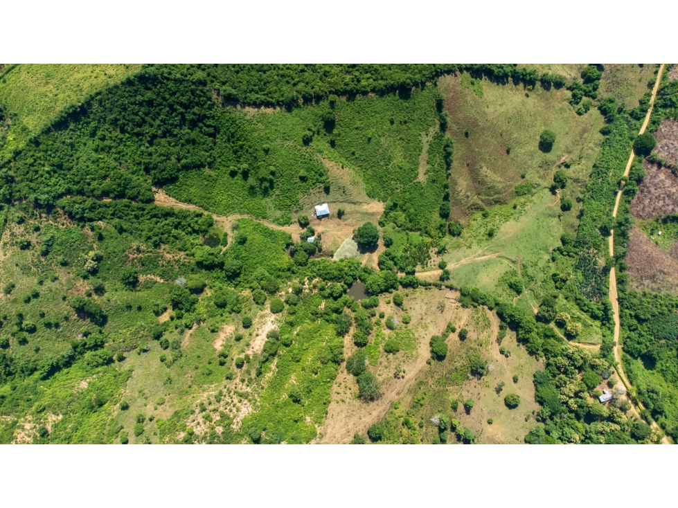Finca en Venta.. San Jacinto Bolivar... Inversión y productividad - 1