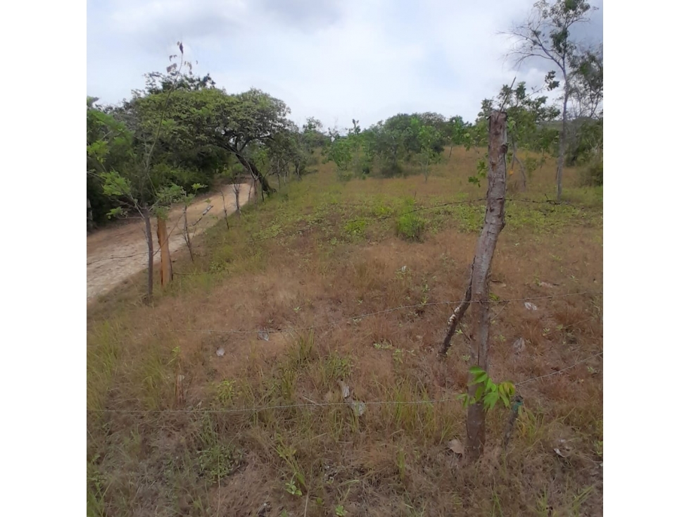 Se Vende Terreno en La Ermita. - 1
