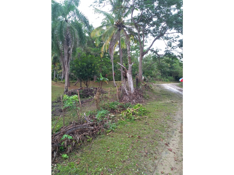 Venta de Terreno en San Carlos - San José Rodeo Viejo