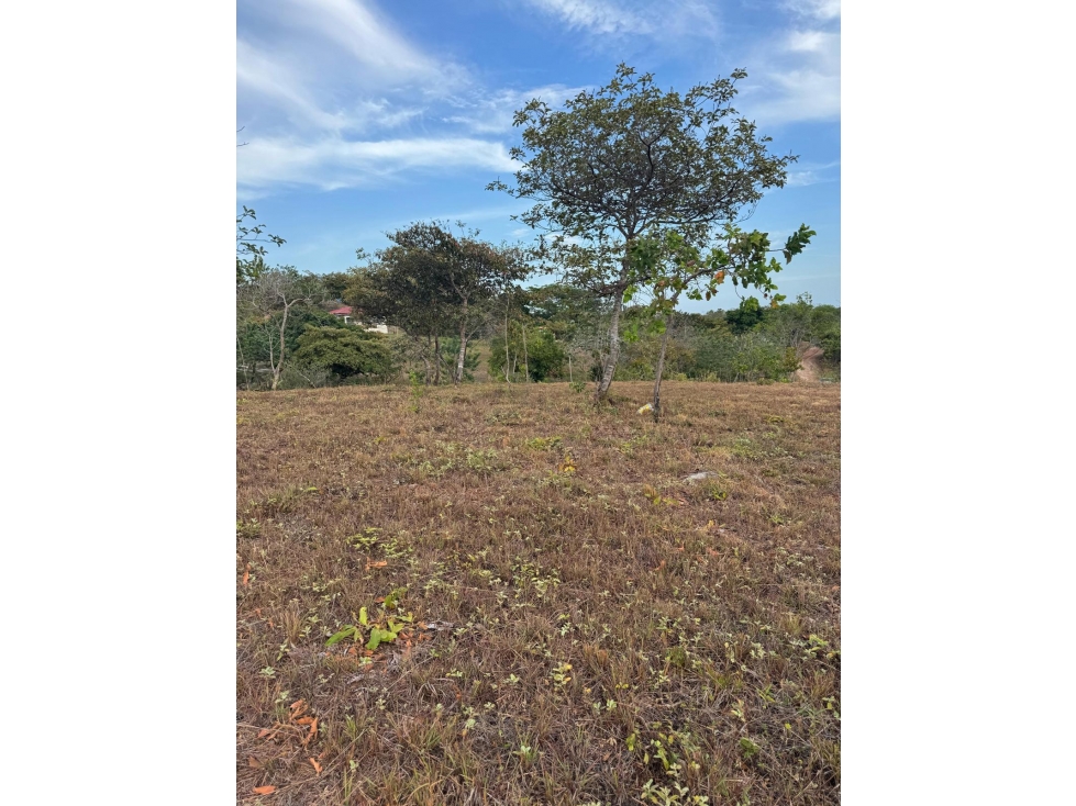 Se Vende Terreno en La Ermita. - 2