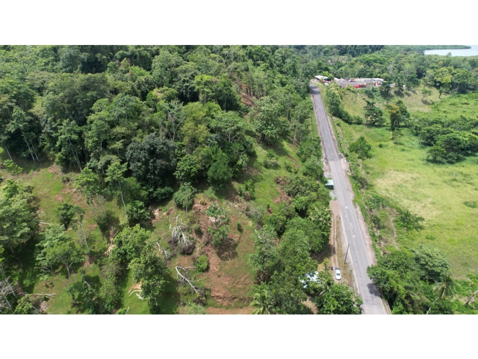 Se Venden 20 Hectáreas de Terreno en Río Oeste, Almirante - 2
