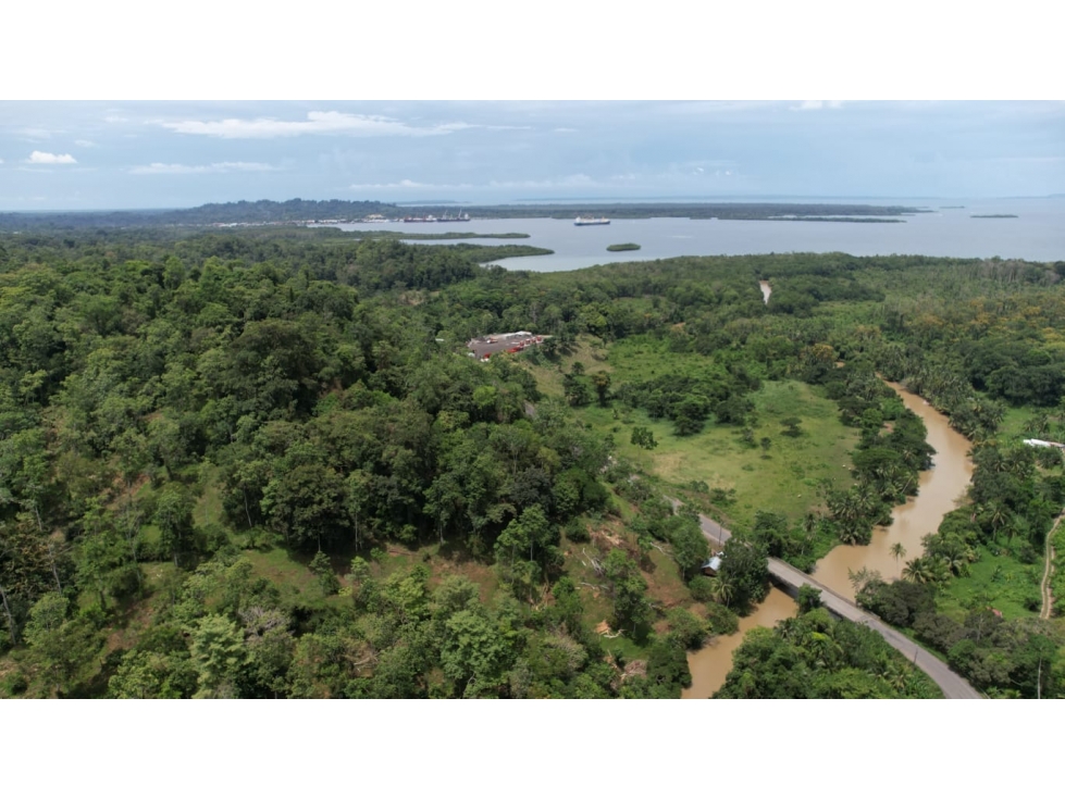 Se Venden 20 Hectáreas de Terreno en Río Oeste, Almirante - 3