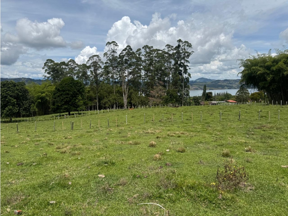 VENDO lote lago calima, valle - 1